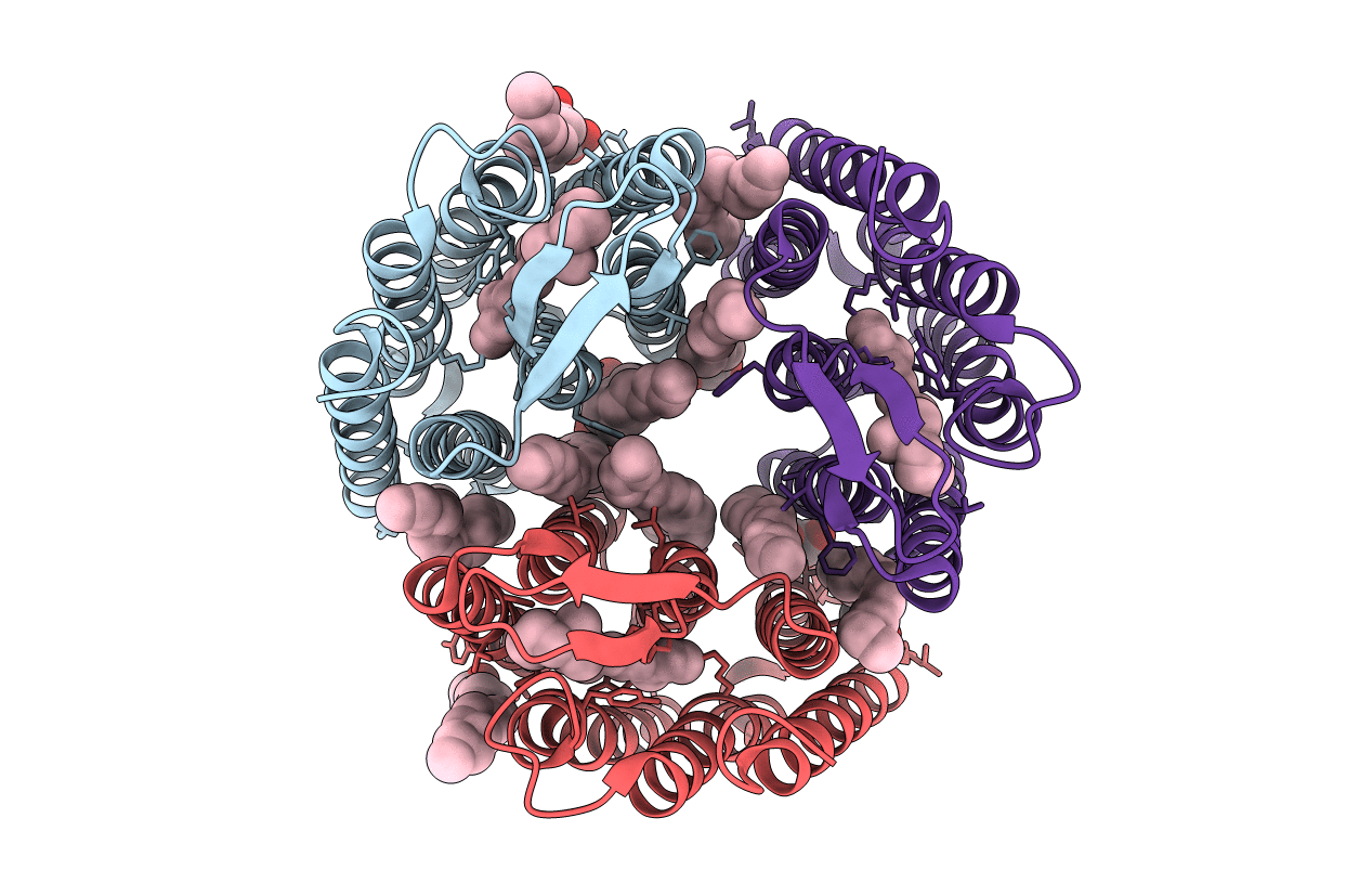 5ITC image