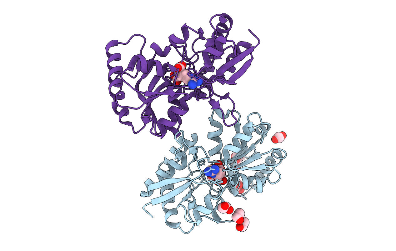 5ITP image