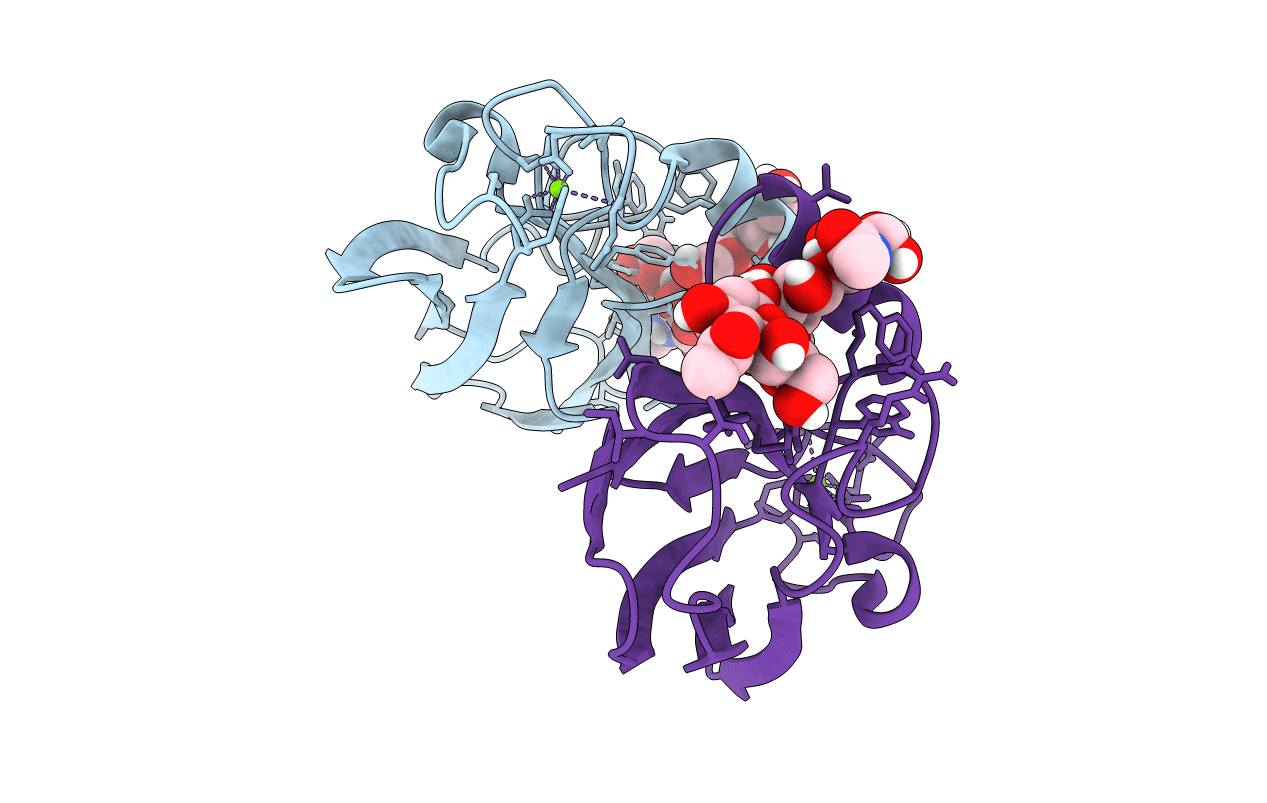 5IUC image