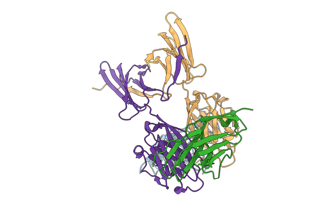 5IUS image