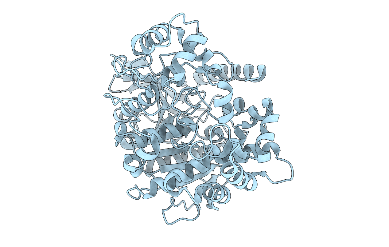 5IVD image