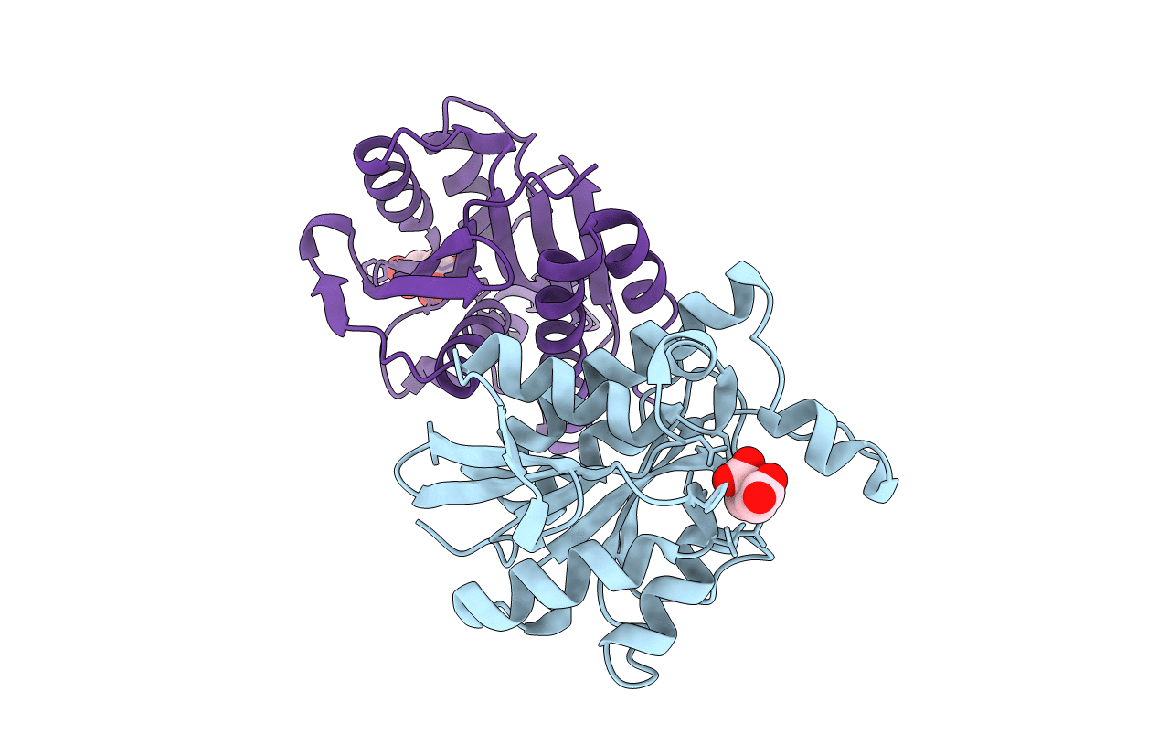 5IVP image