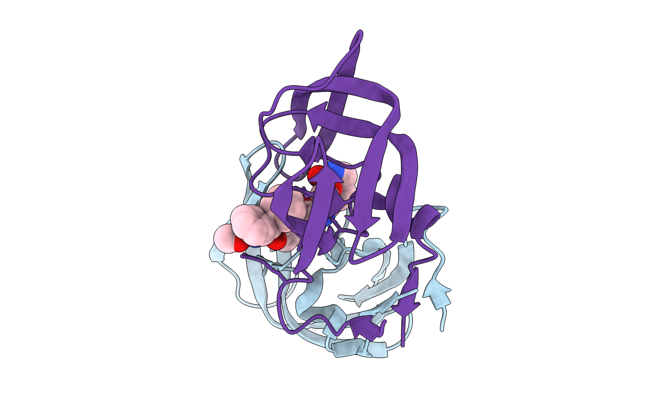 5IVS image