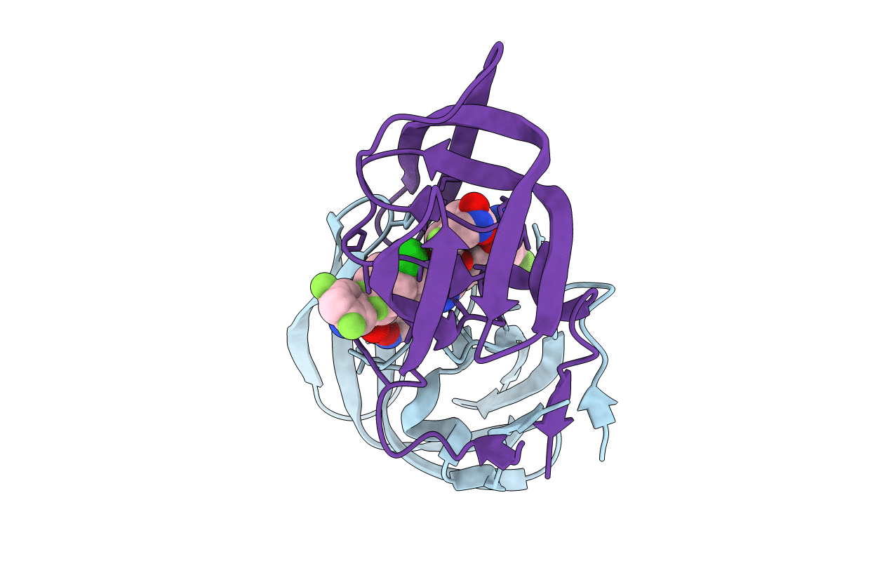 5IVT image
