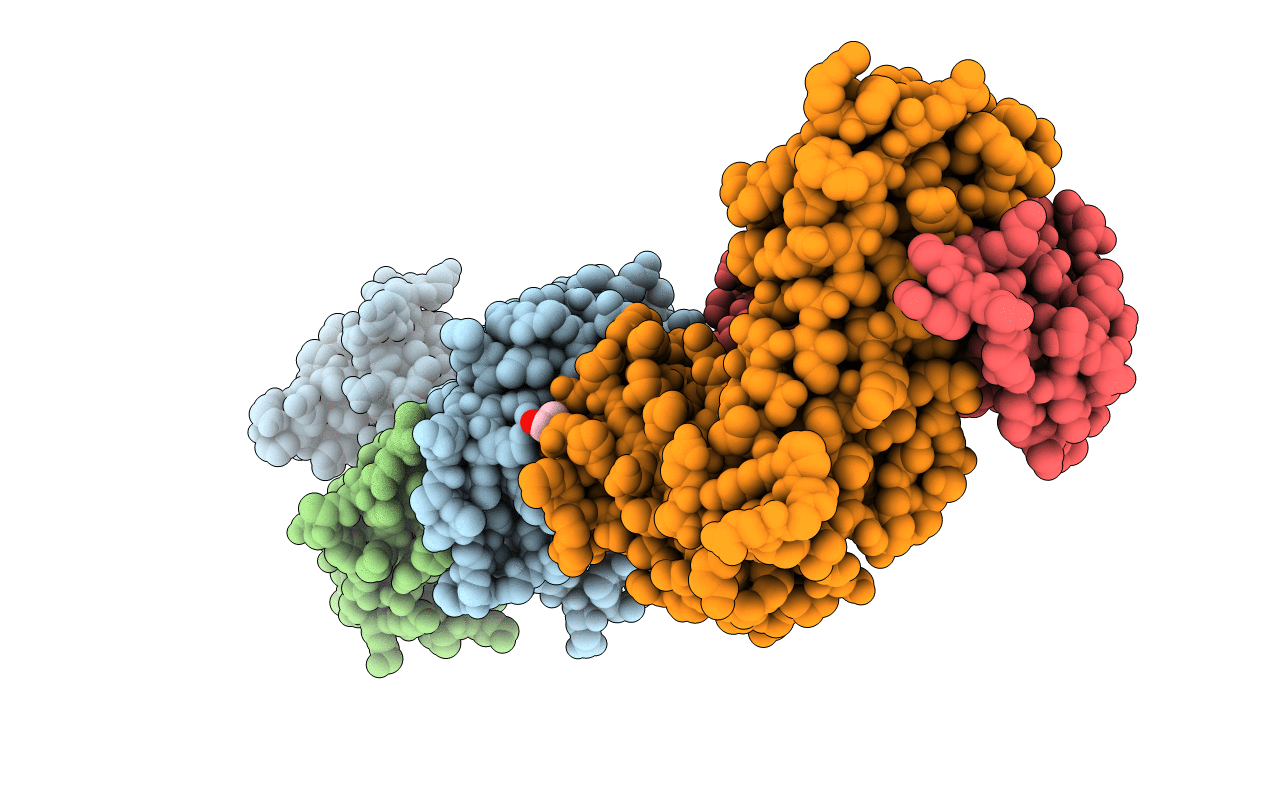 5IVX image