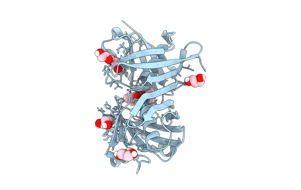 5IWE image