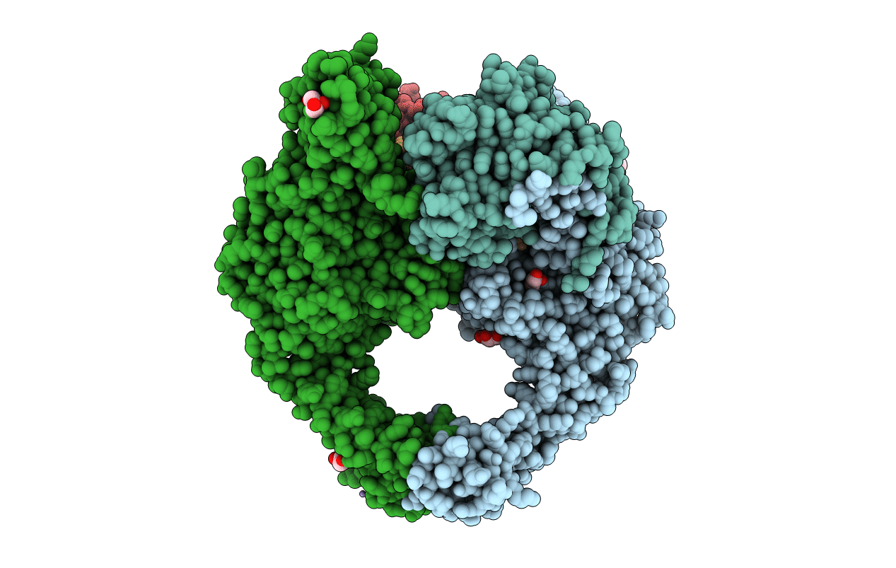 5IWI image
