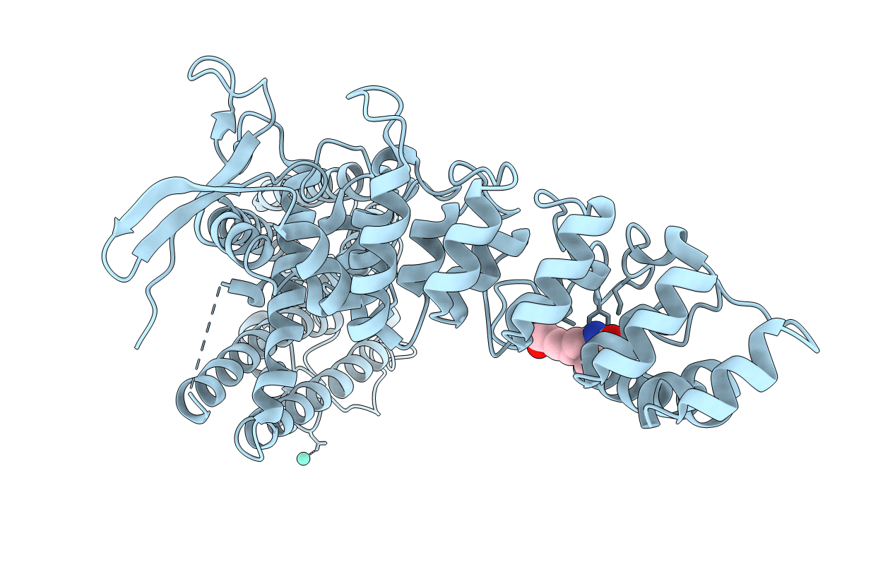 5IWT image