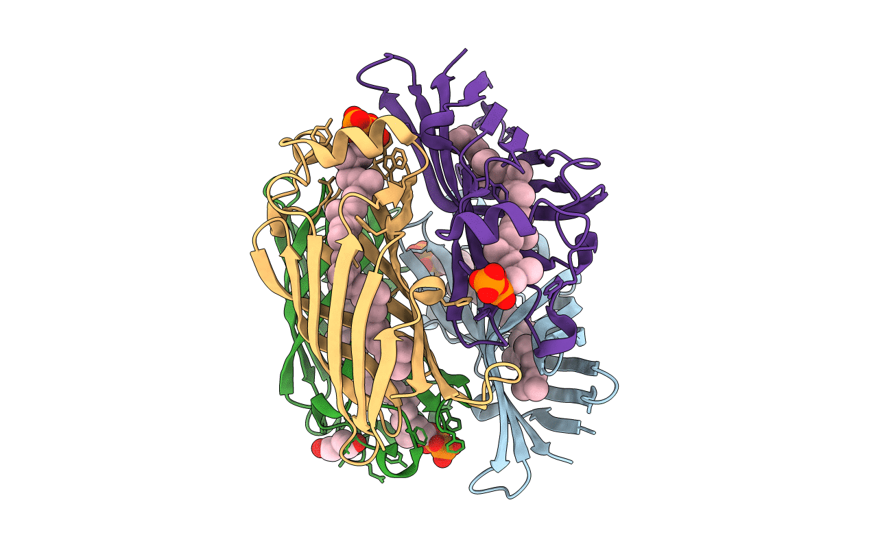 5IXG image