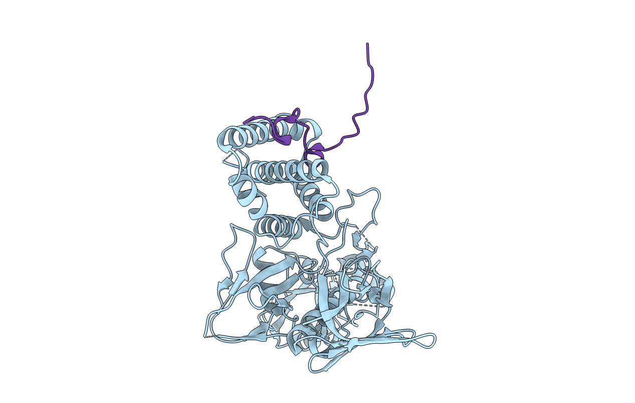 5IXI image