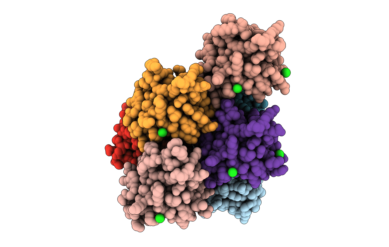 5IXL image