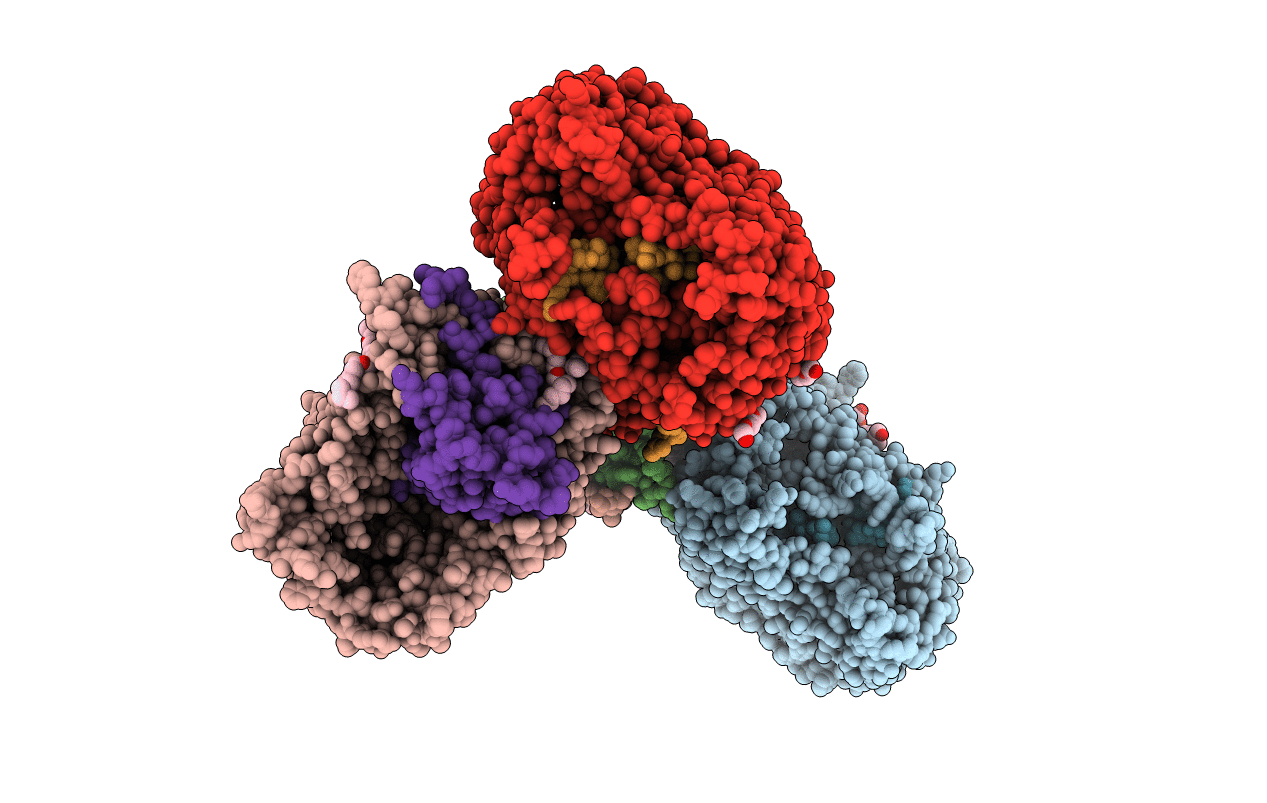 5IXM image