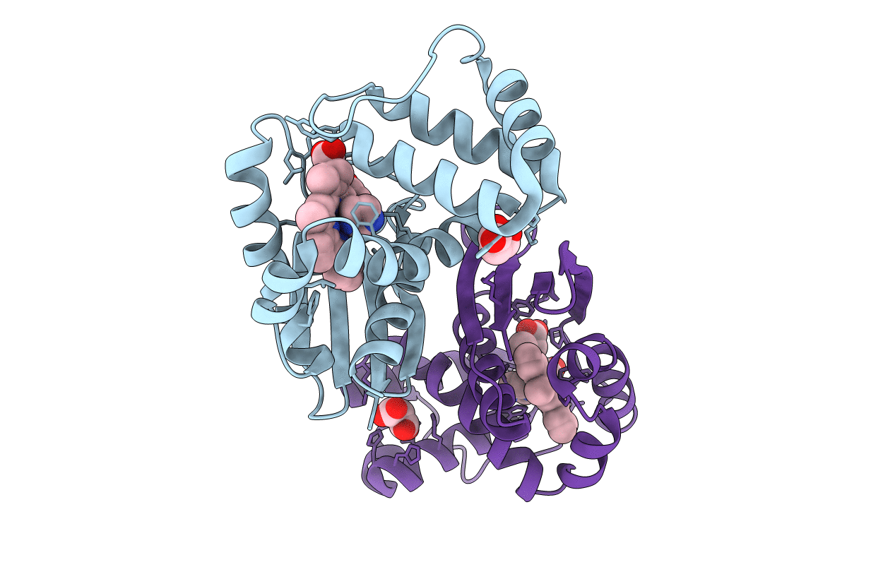 5IXR image
