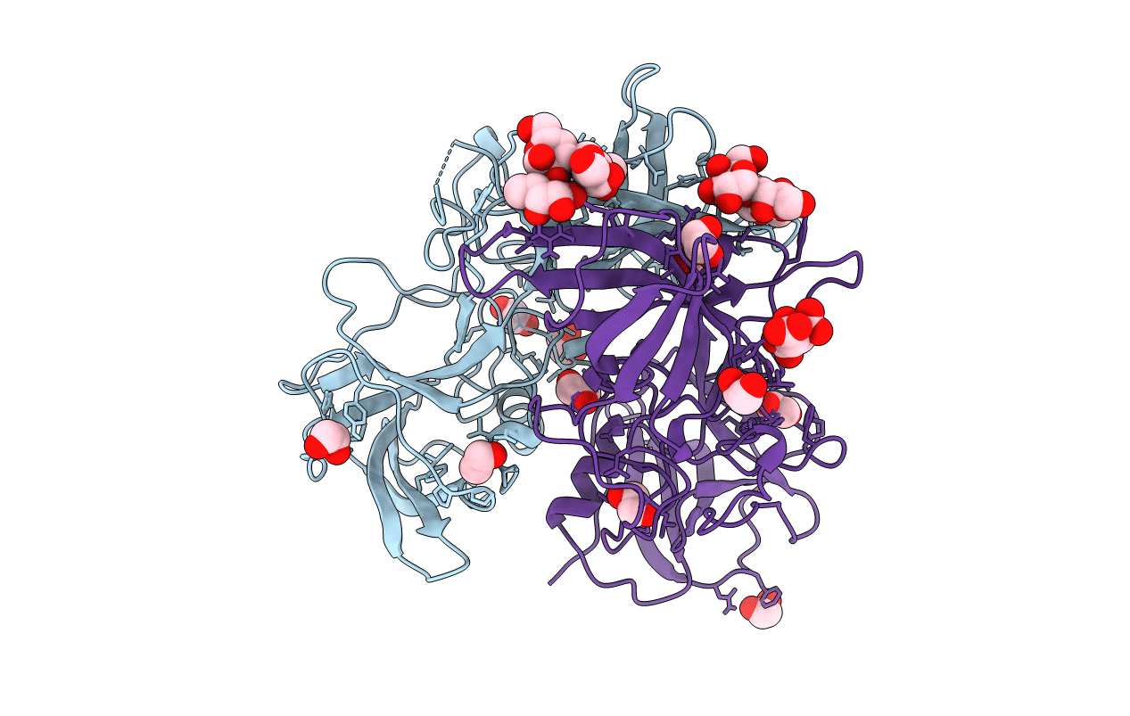 5IYQ image
