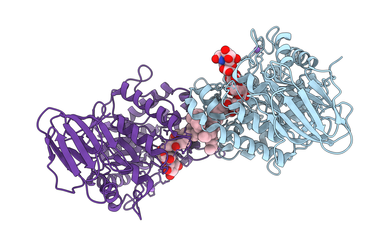 5J14 image