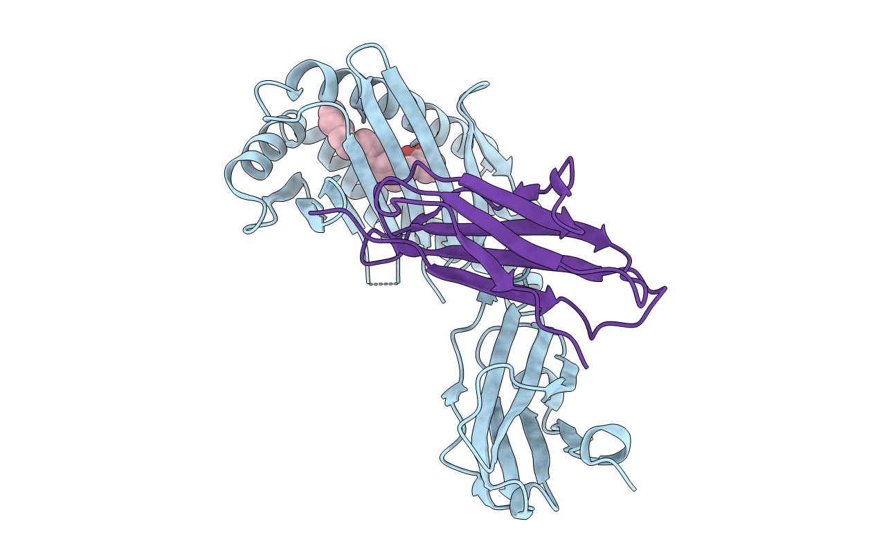 5J1A image