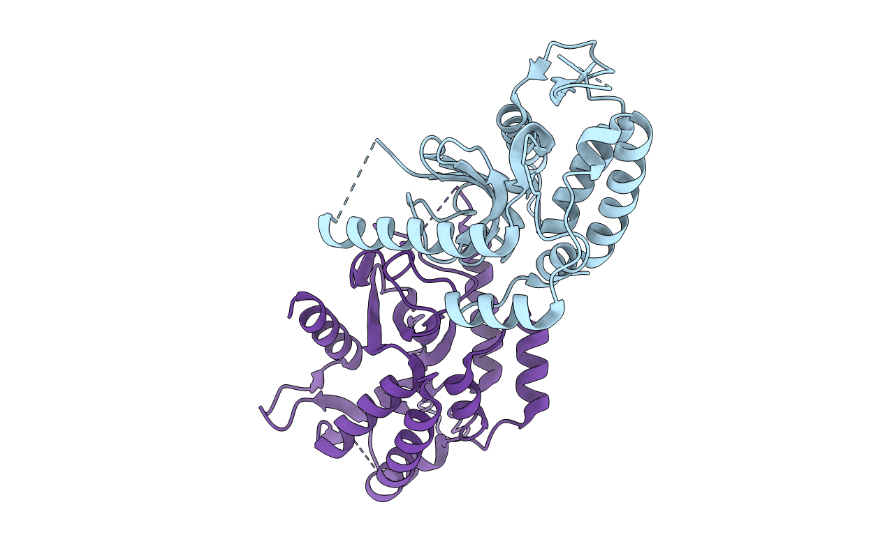 5J1B image