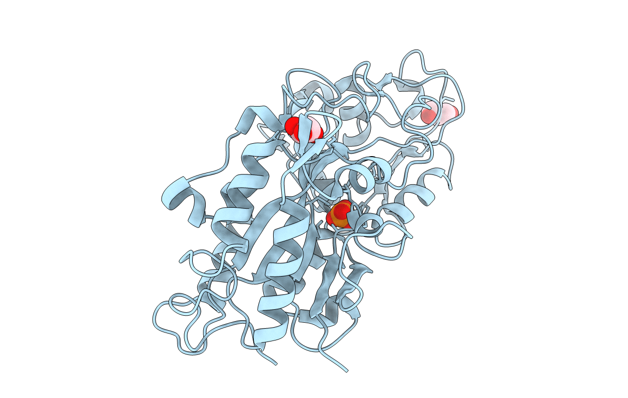 5J1D image