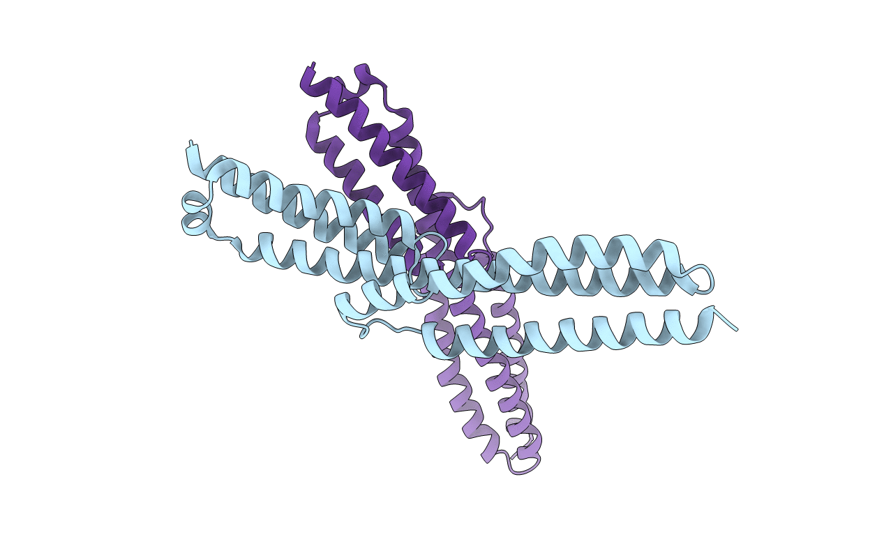 5J1F image