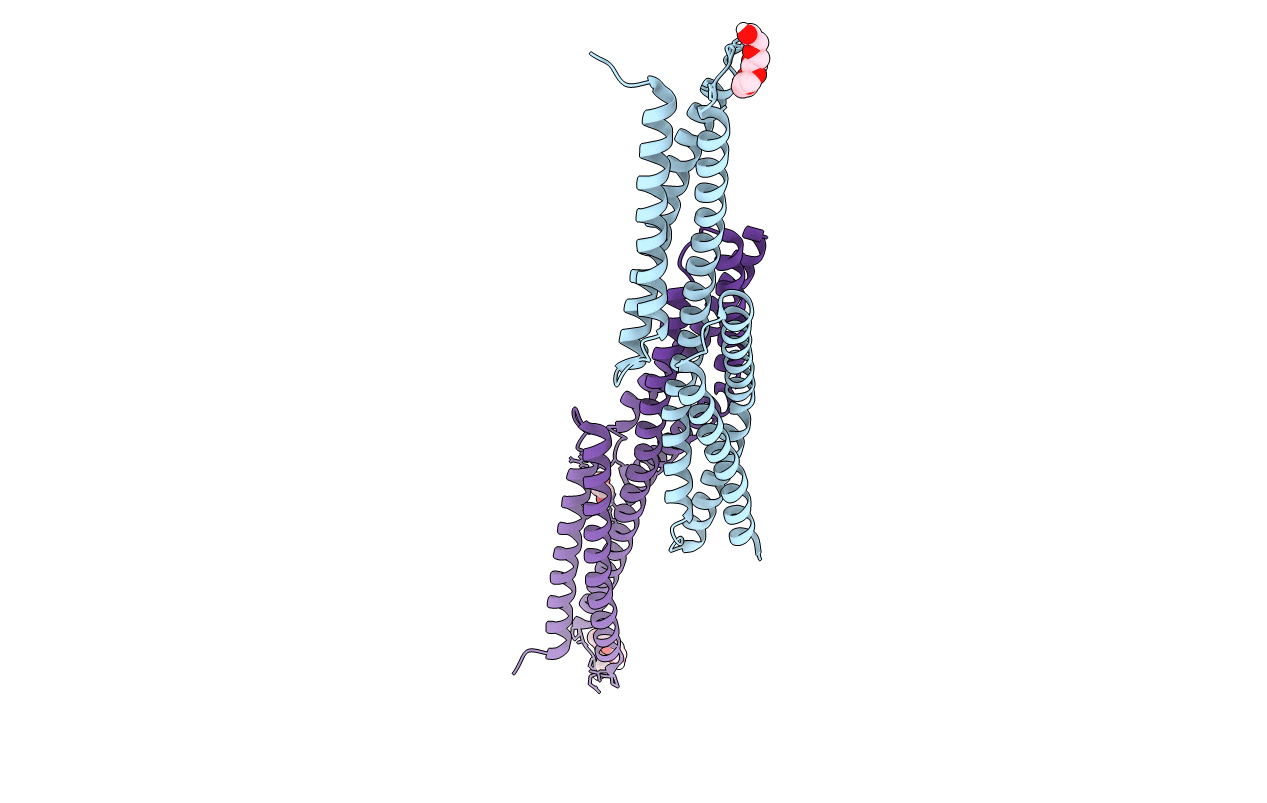 5J1G image