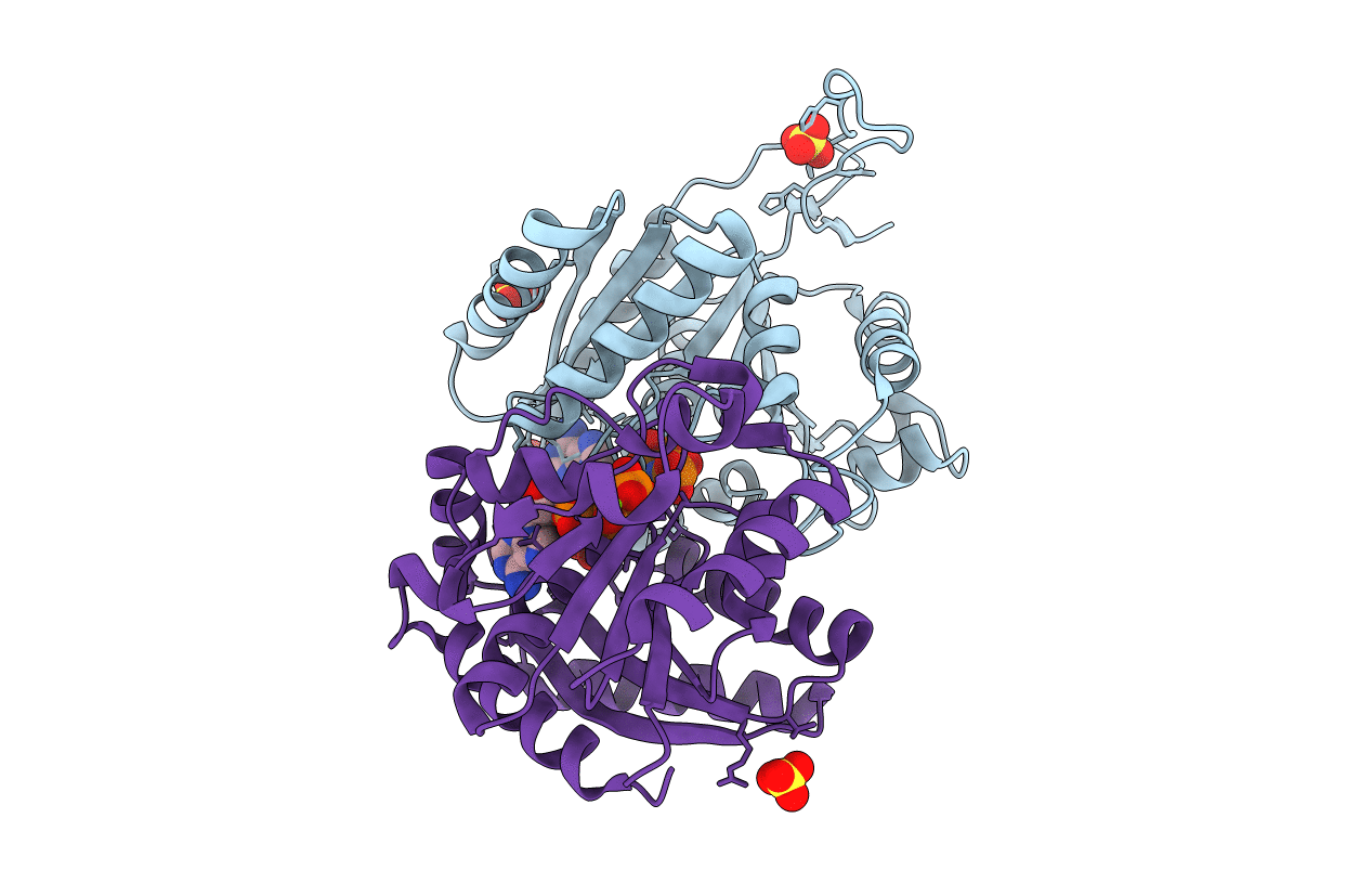 5J1J image