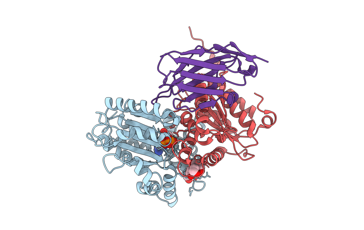 5J1T image