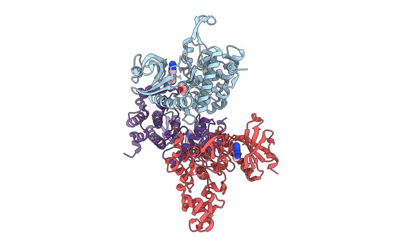 5J1V image