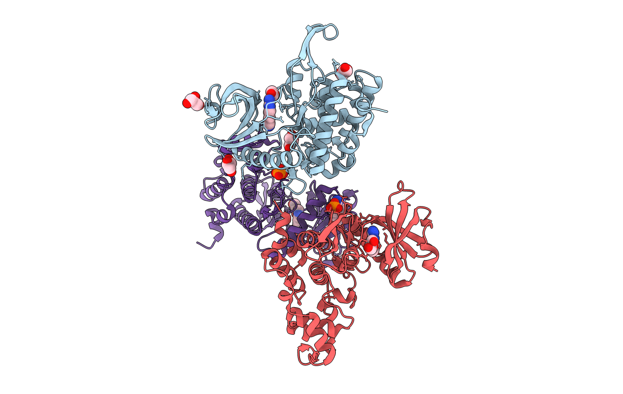 5J1W image