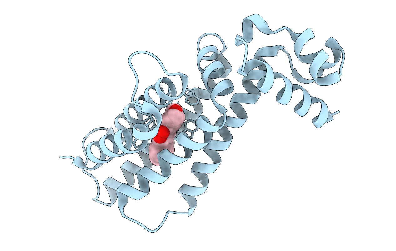 5J1Y image
