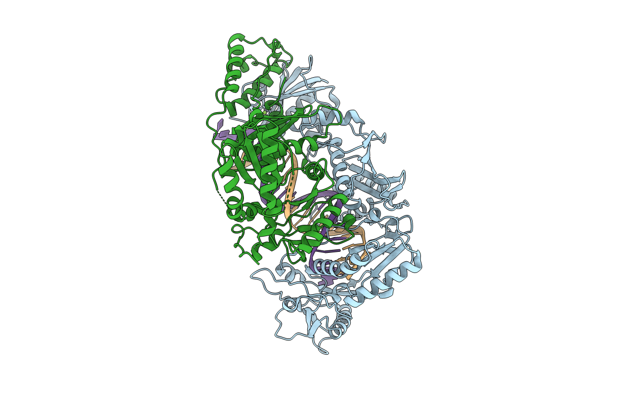 5J2N image