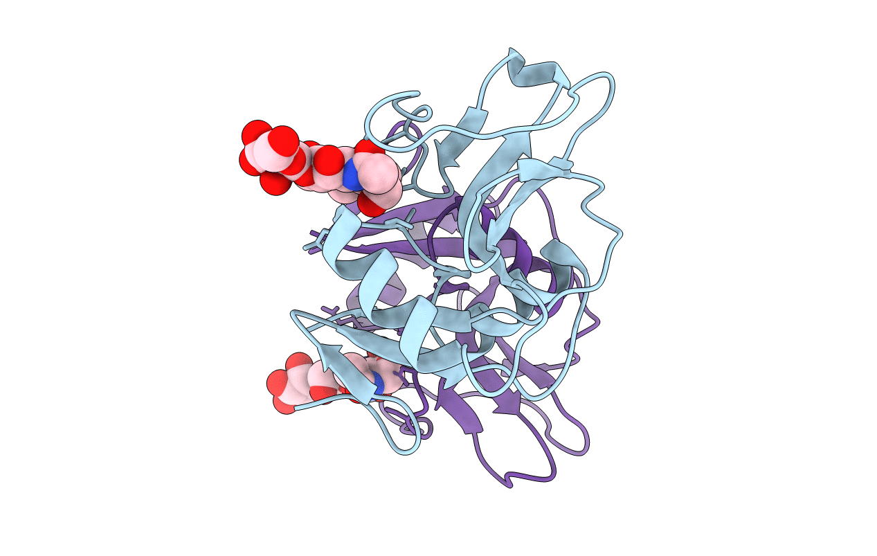 5J2S image