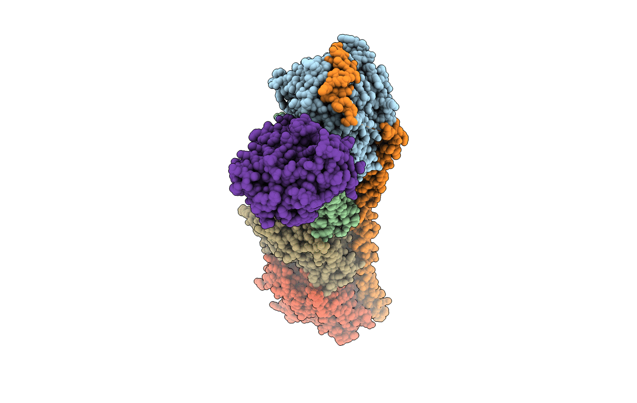 5J2T image