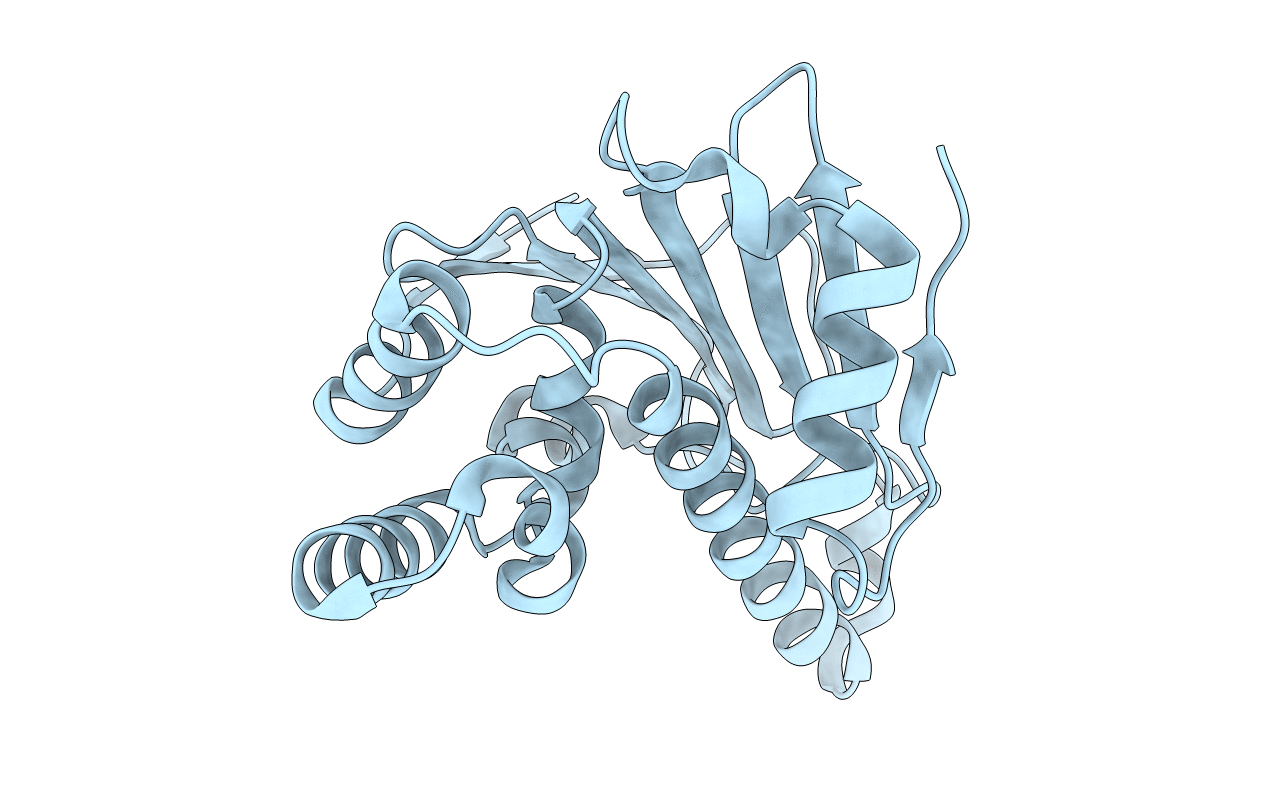 5J2V image