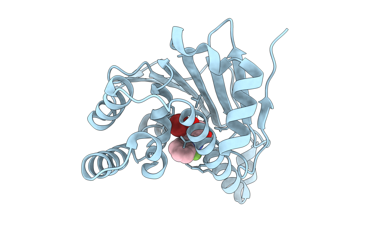5J2X image