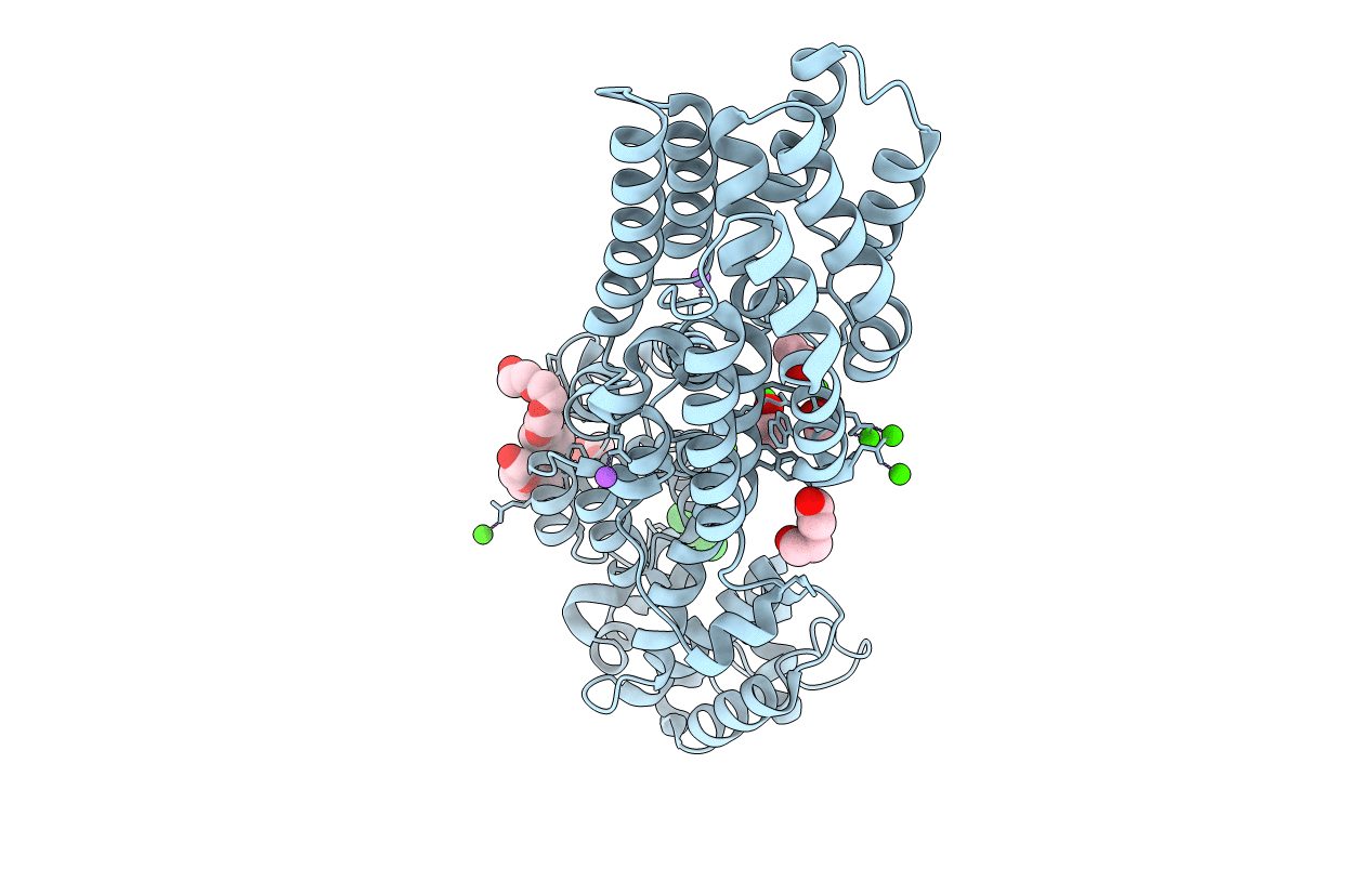 5J2Z image
