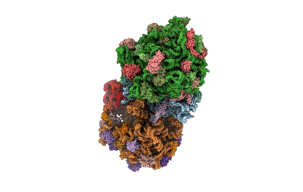 5J3C image