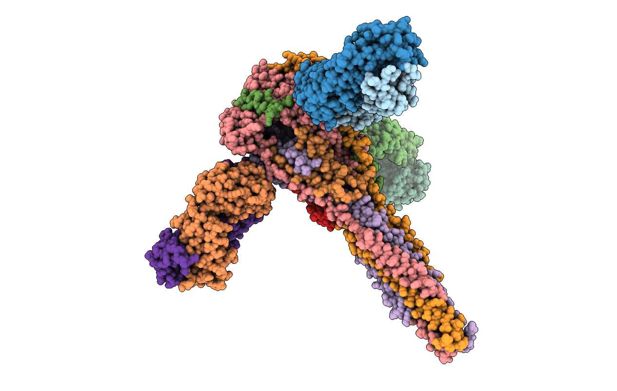 5J3D image