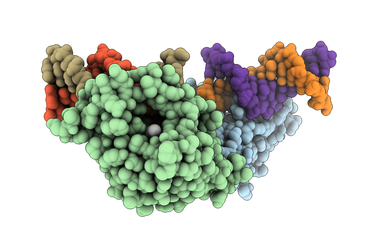 5j3e image