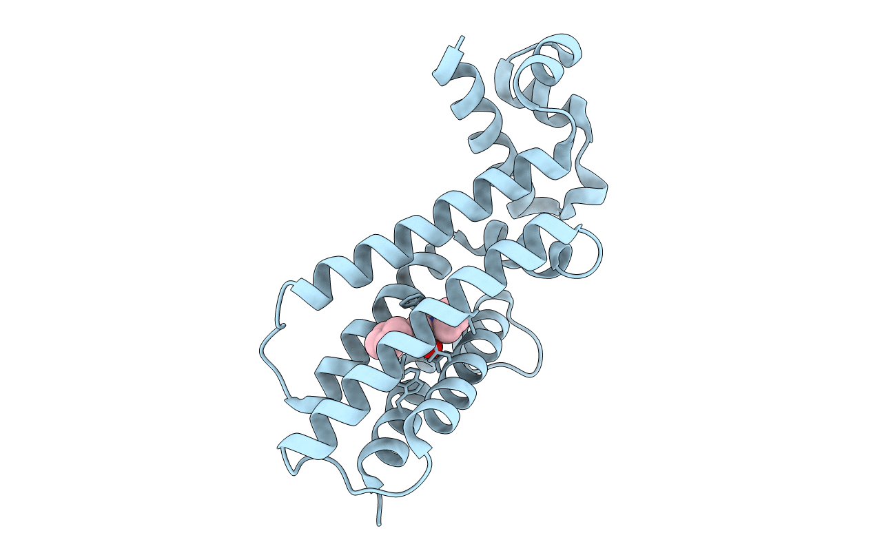 5J3L image