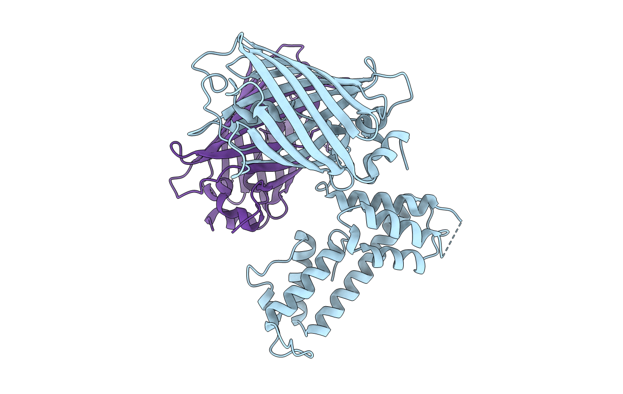 5J3N image