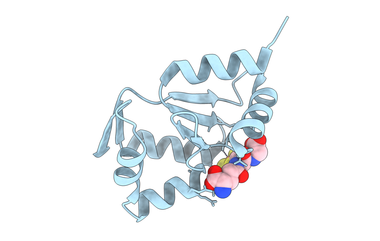 5J3R image