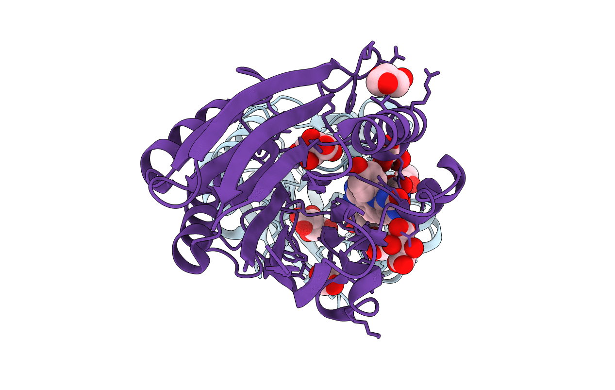 5J42 image