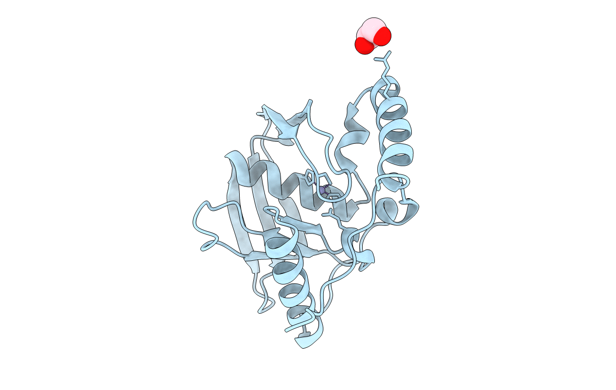 5J46 image