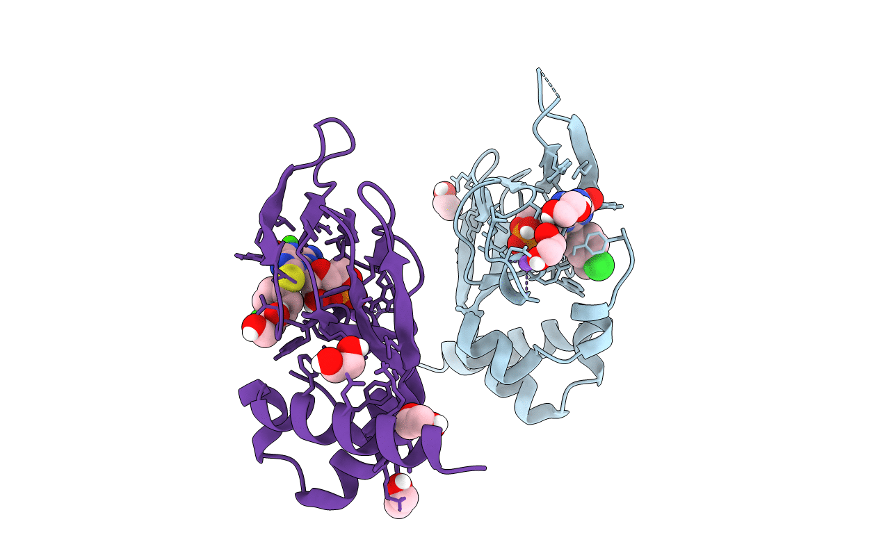 5J48 image