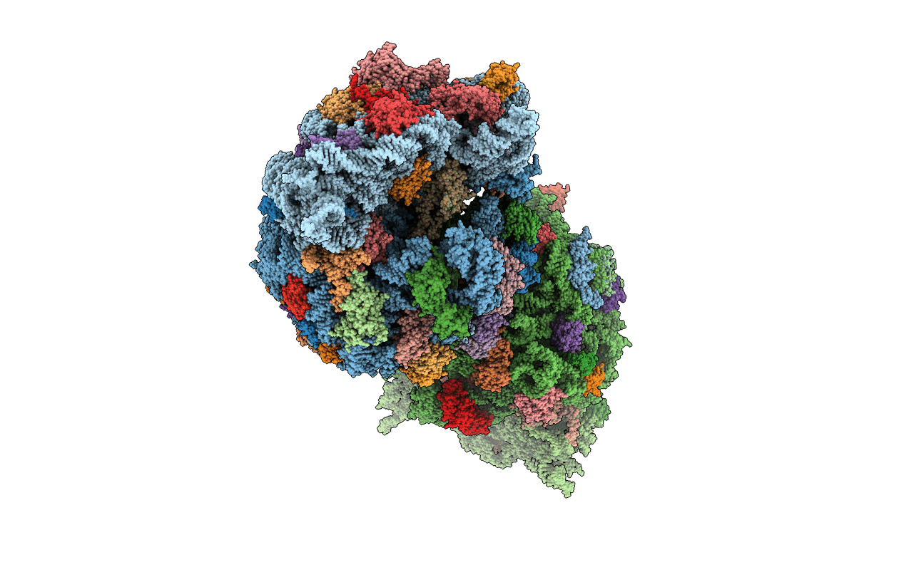 5J4D image