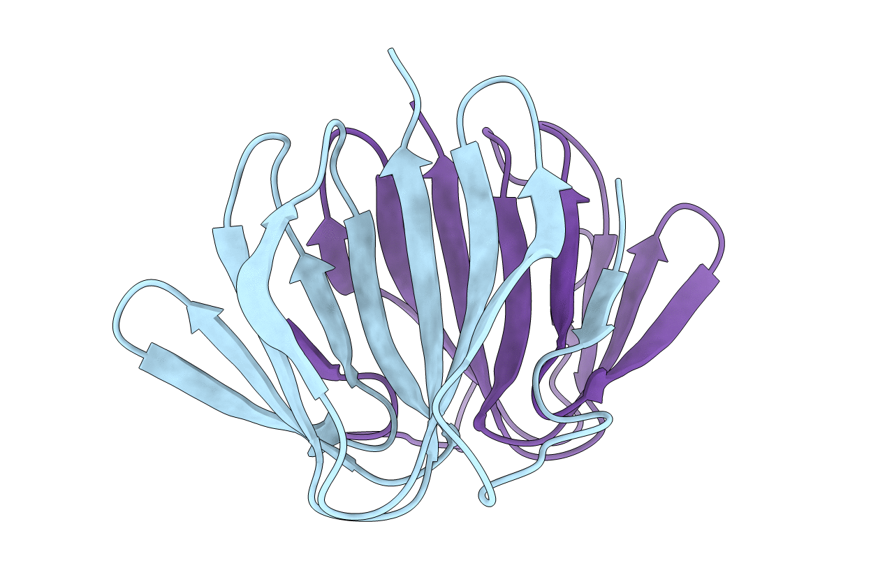5J4G image