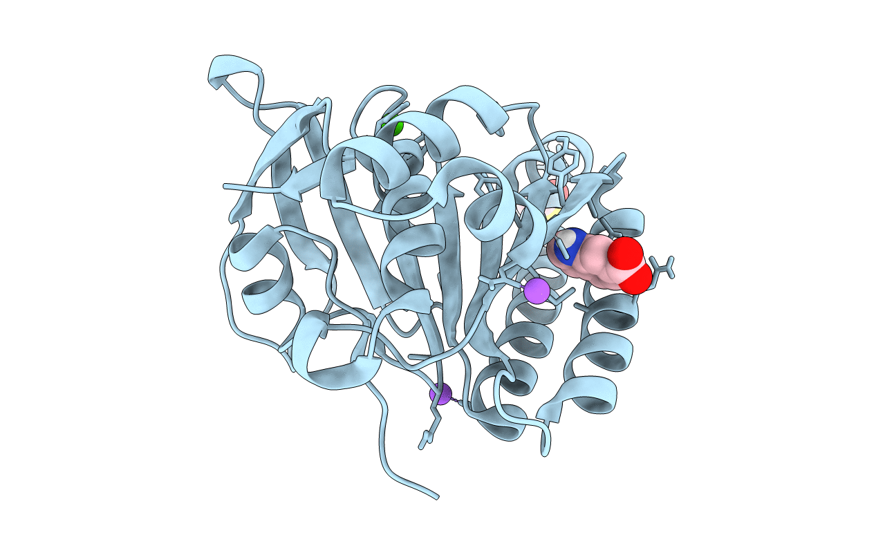 5J4H image