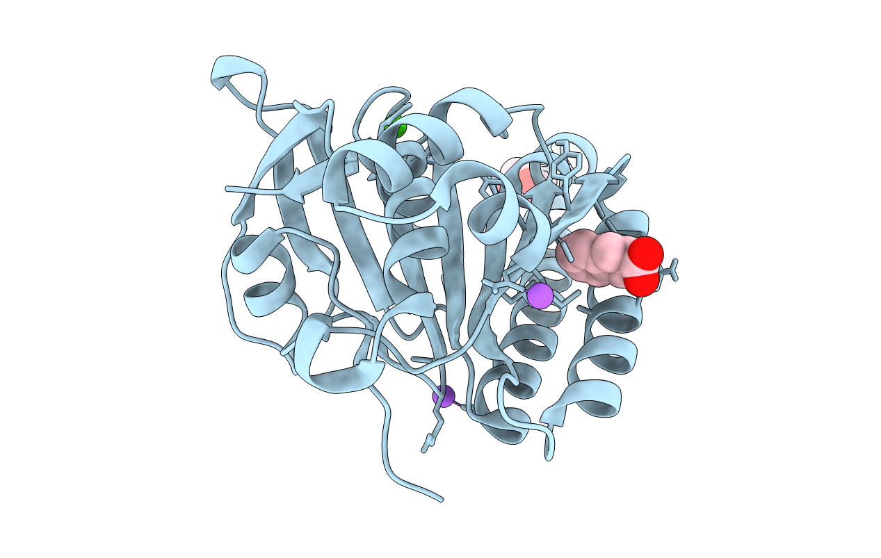 5J4K image