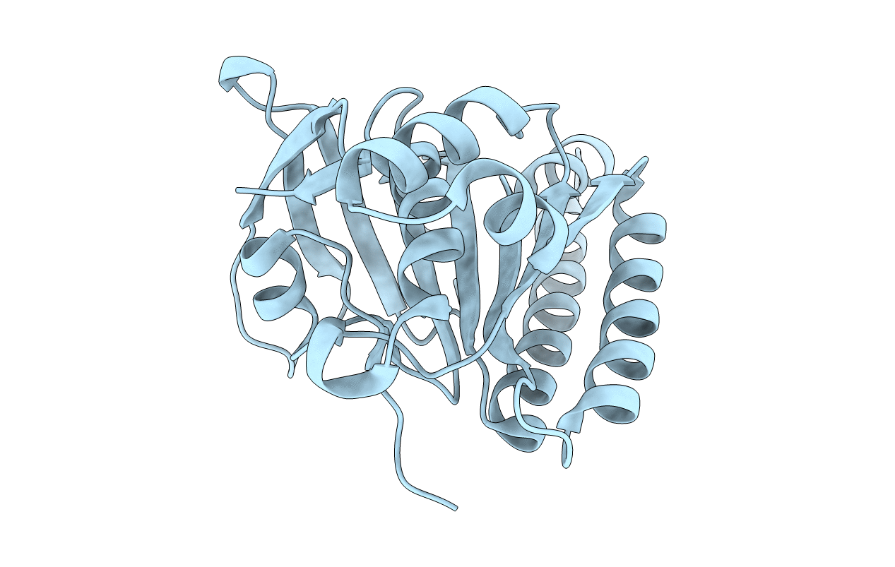 5J4L image