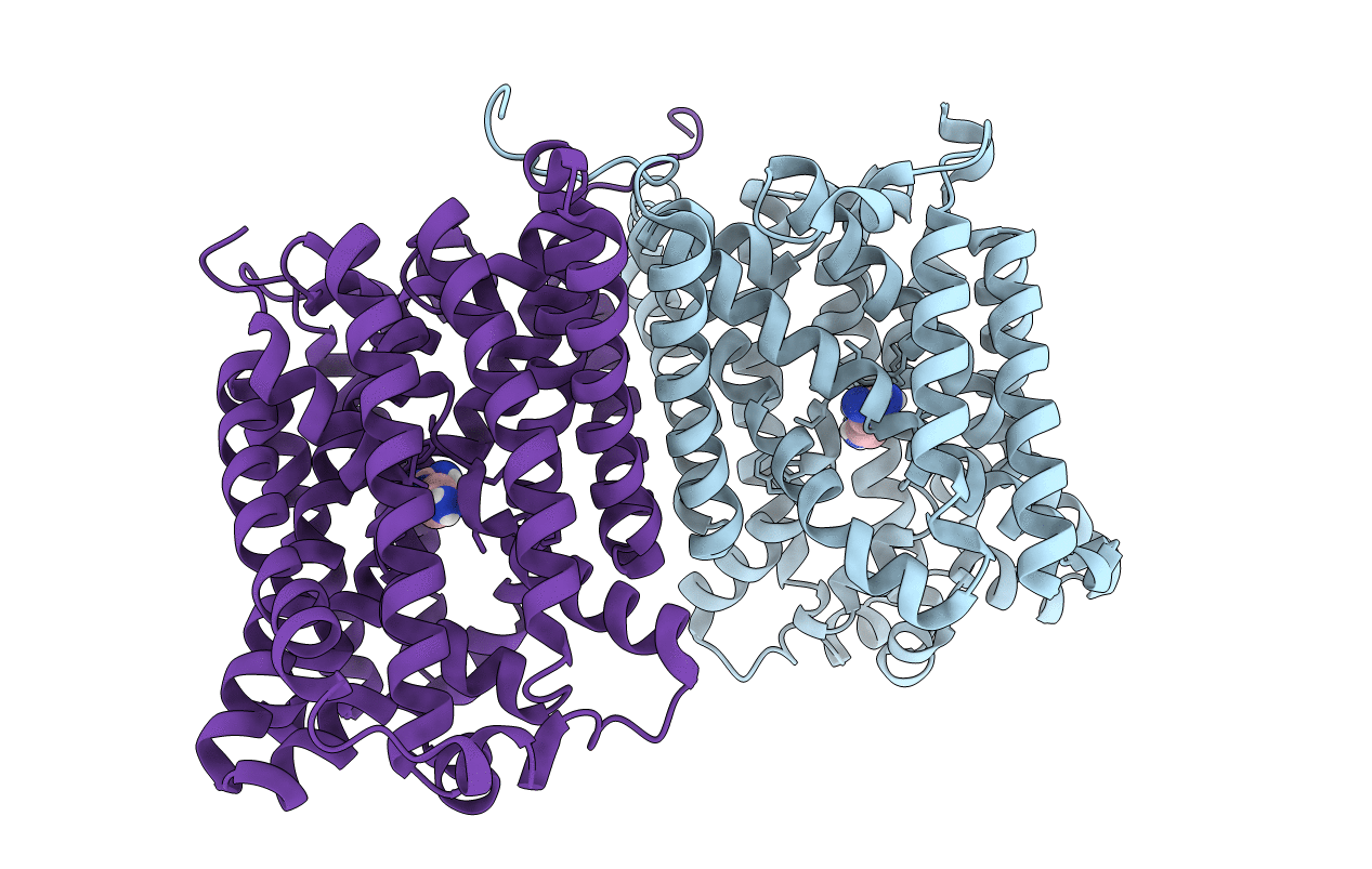 5J4N image